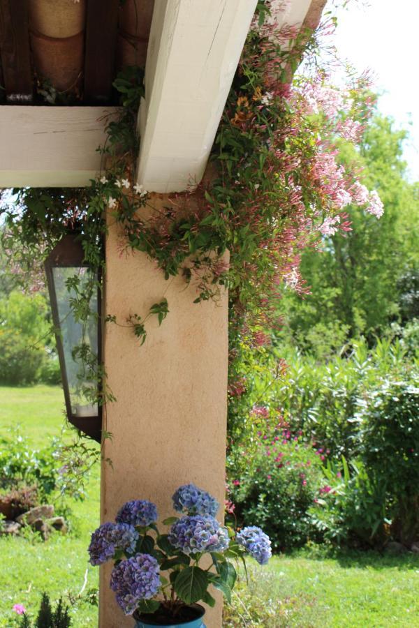 Mas Les Romarins, 10 Min D'Uzes, Piscine Et Grand Jardin Clos, Jeux, Nid De Repos Et Base Pour Activites Dans Le Gard (Adults Only) Uzès Exterior foto