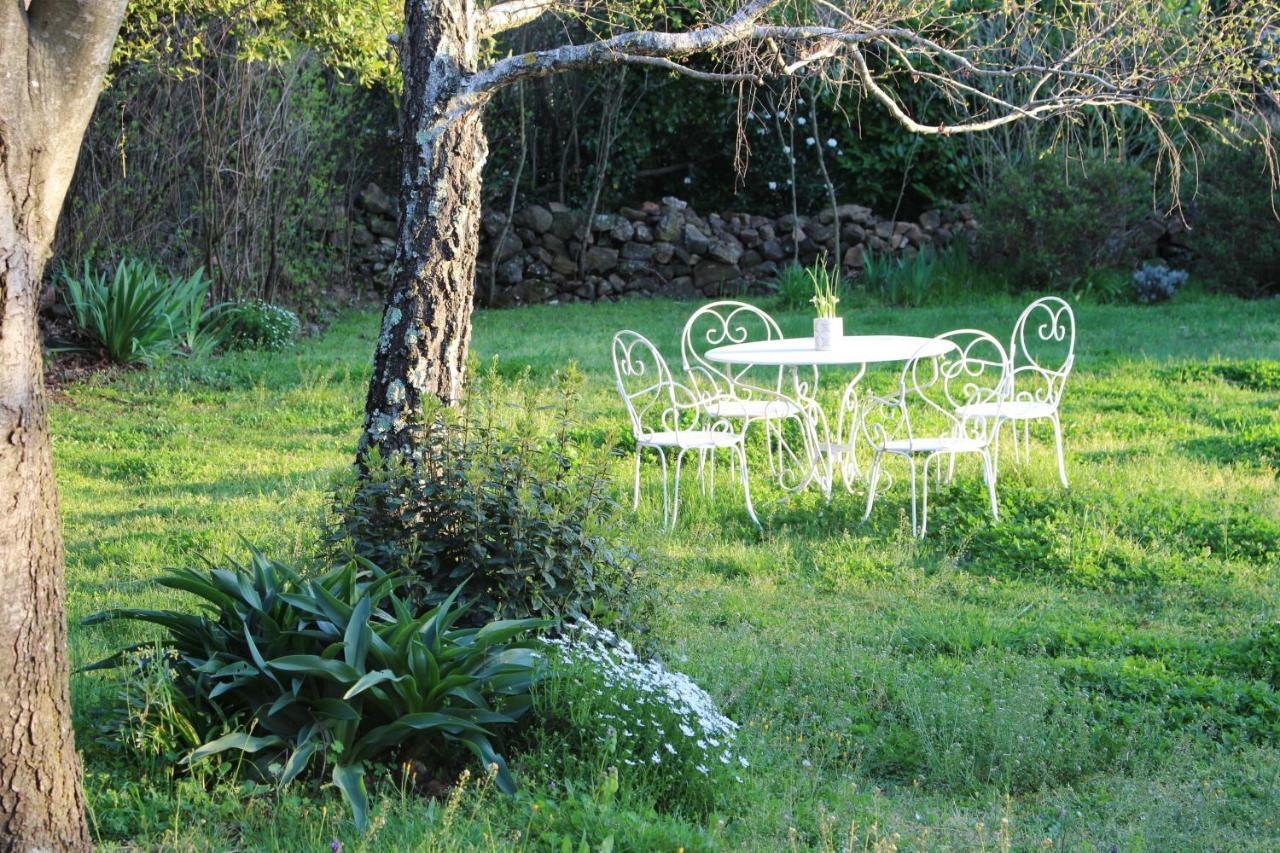 Mas Les Romarins, 10 Min D'Uzes, Piscine Et Grand Jardin Clos, Jeux, Nid De Repos Et Base Pour Activites Dans Le Gard (Adults Only) Uzès Exterior foto