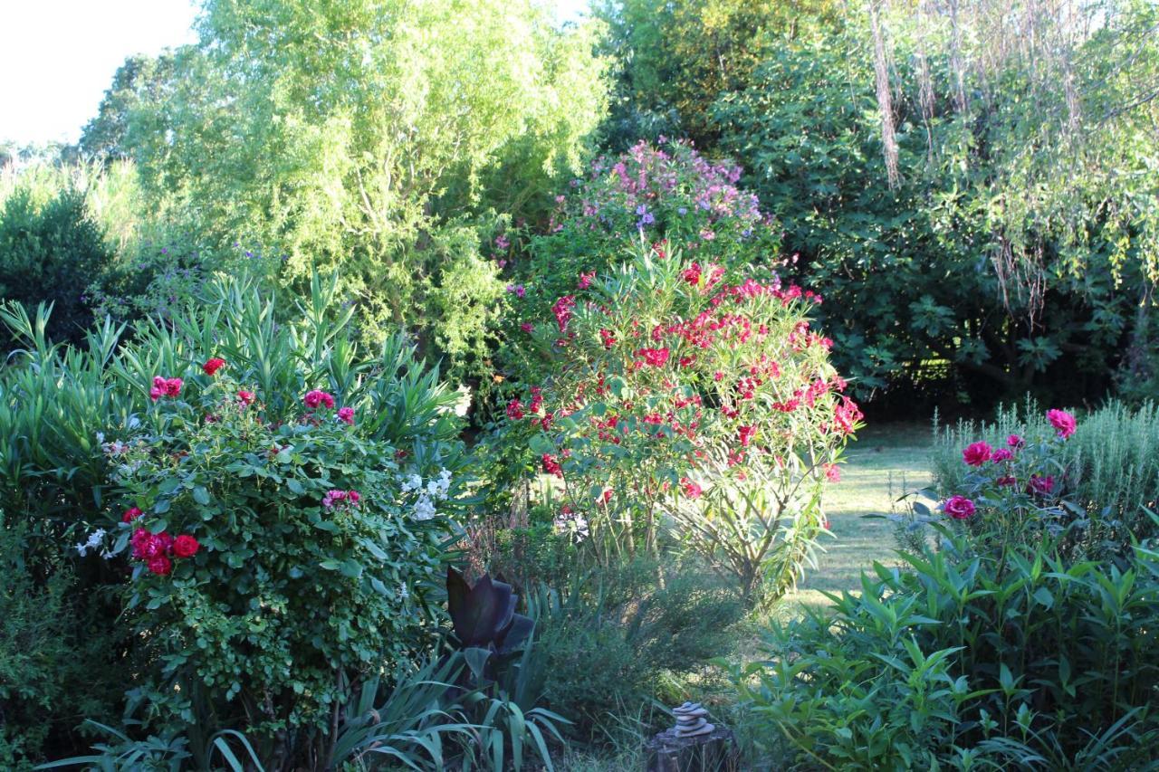 Mas Les Romarins, 10 Min D'Uzes, Piscine Et Grand Jardin Clos, Jeux, Nid De Repos Et Base Pour Activites Dans Le Gard (Adults Only) Uzès Exterior foto